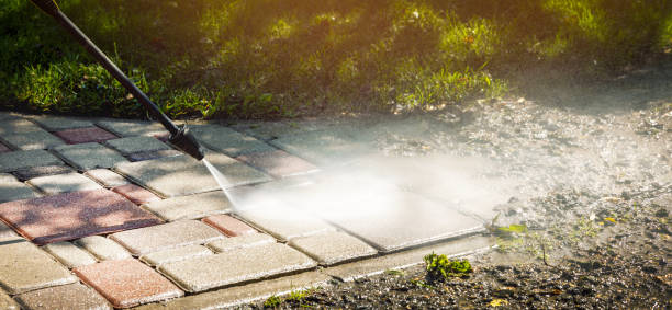 Best Driveway Pressure Washing  in Palmer Lake, CO