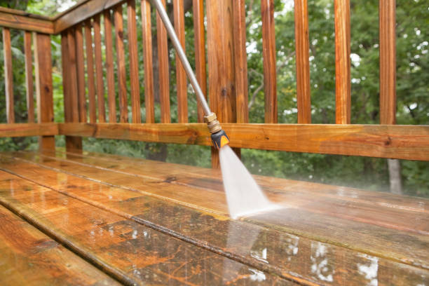 Boat and Dock Cleaning in Palmer Lake, CO